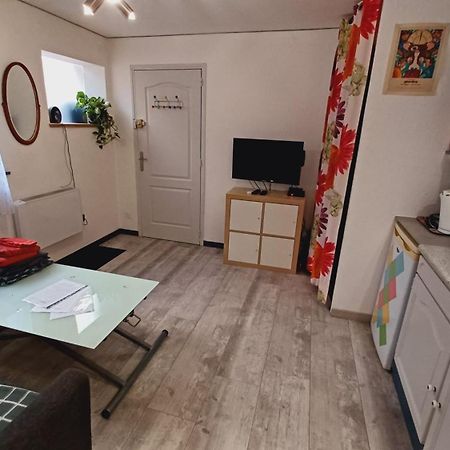 Studio Cosy Tout Confort Gaillac Centre. מראה חיצוני תמונה